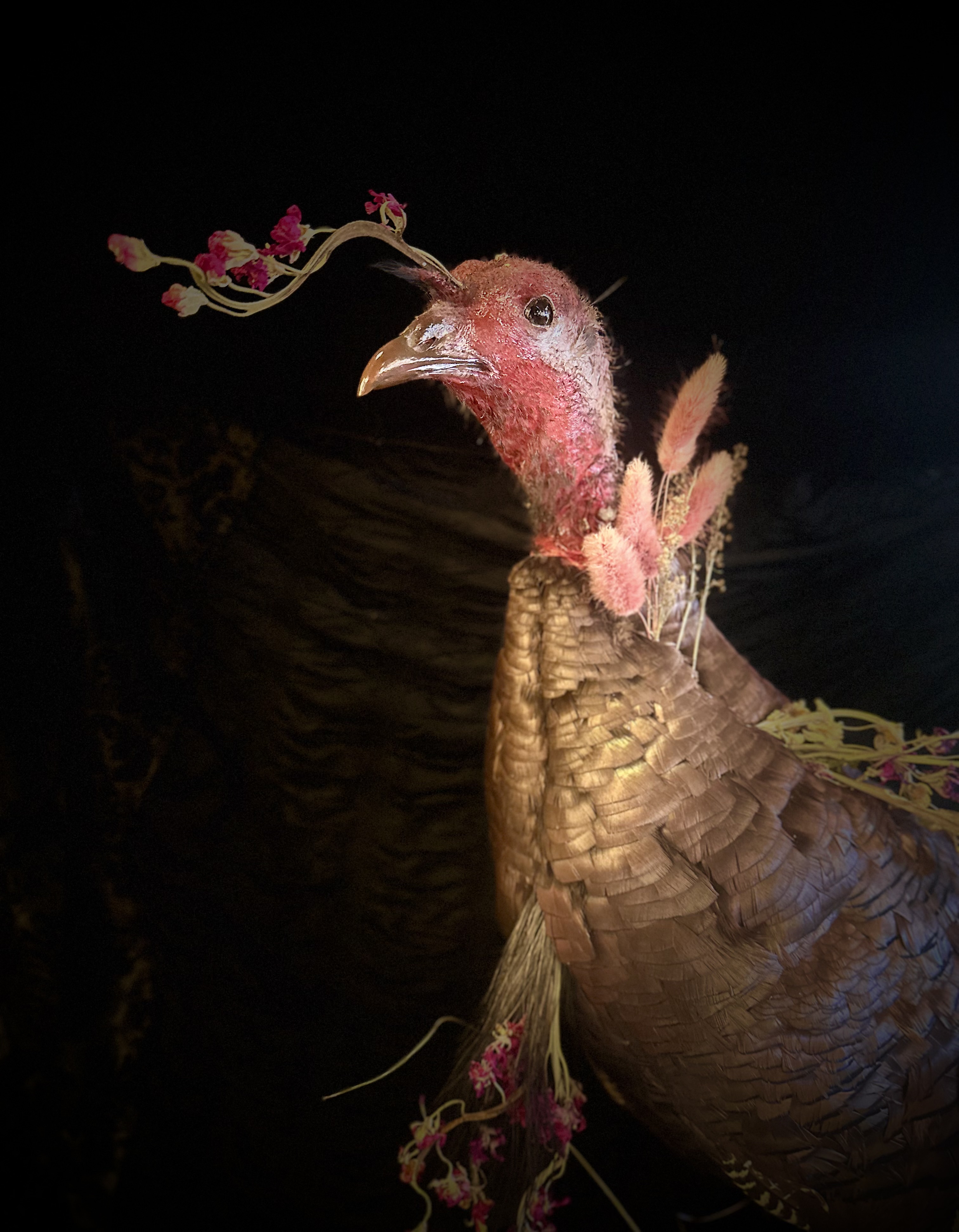 Marcellus from the side. Dried flowers and pink grasses bloom from his neck and beak against a dark backdrop.