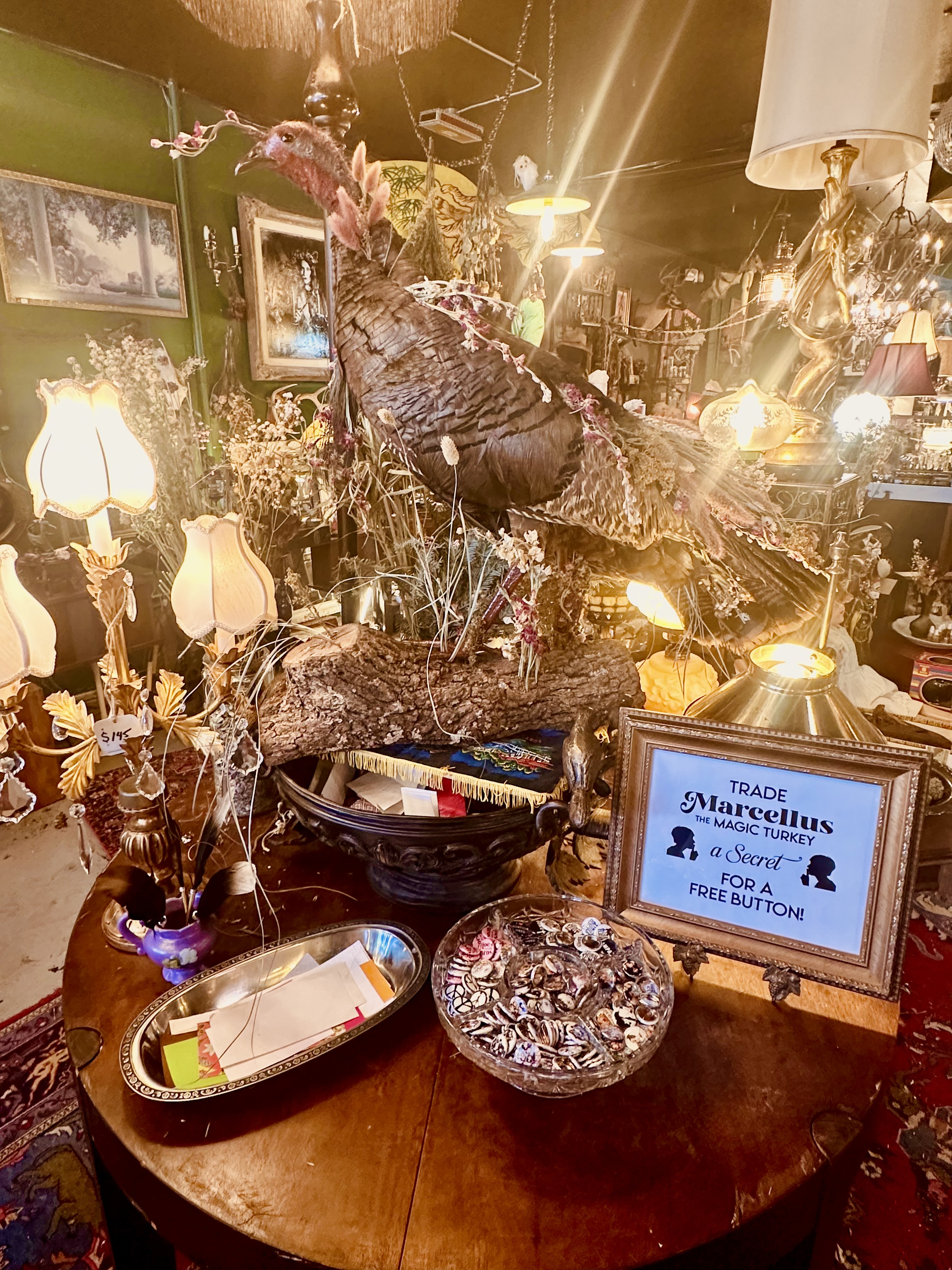 The shop installation: Marcellus perched on a branch atop a round table, with a glass bowl of buttons, a mirrored tray for secrets, and a framed sign reading 'Trade Marcellus the Magic Turkey a Secret for a Free Button.'