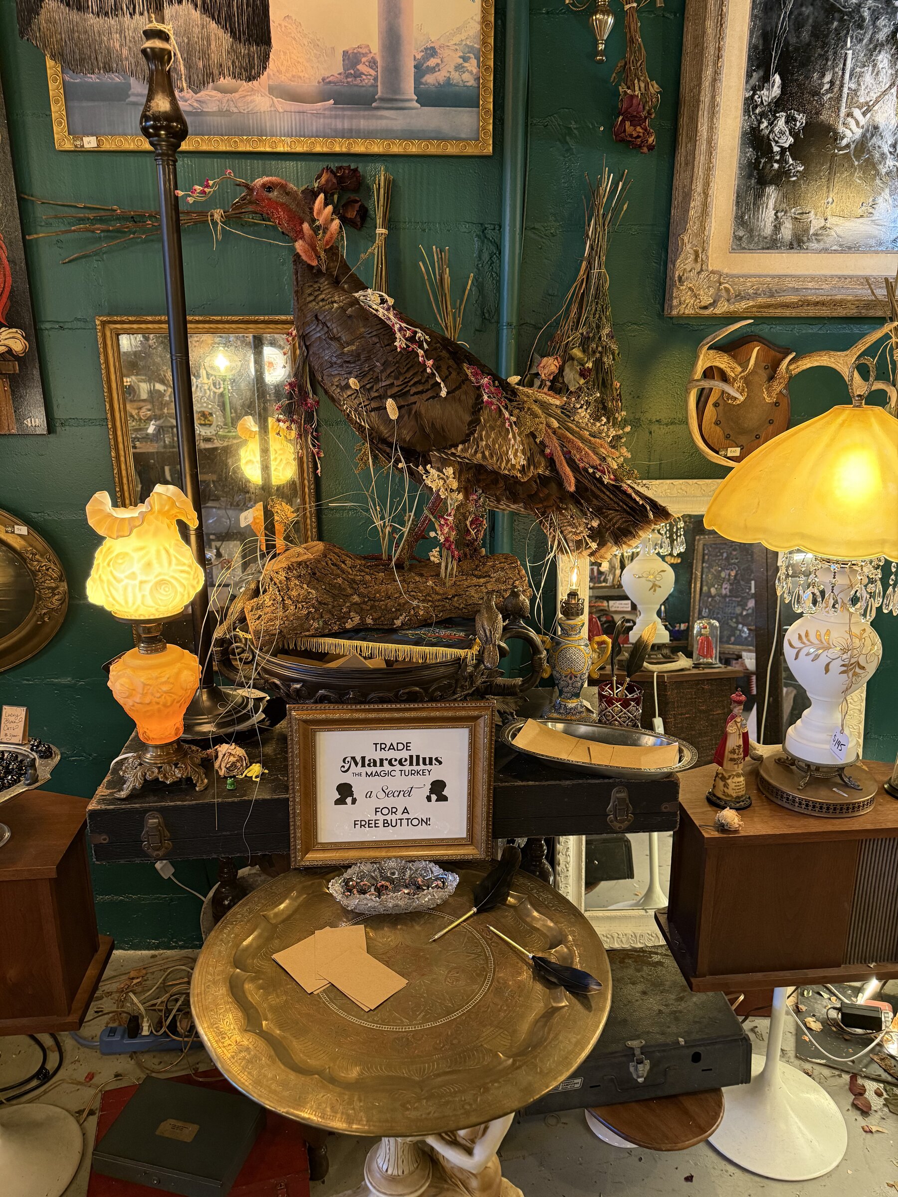 Wide interior with turkey mount and brass details
