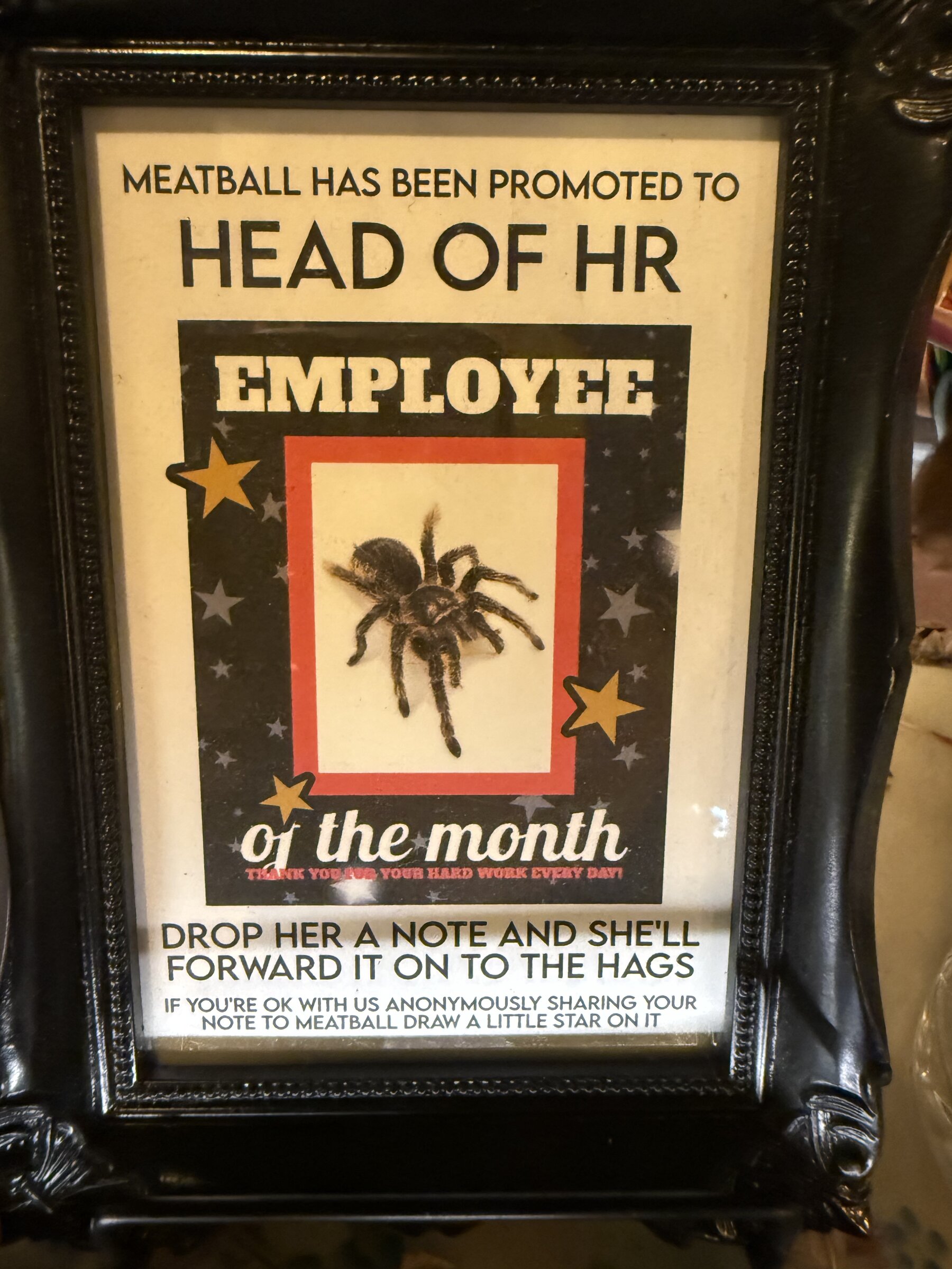 Meatball promoted to Head of HR